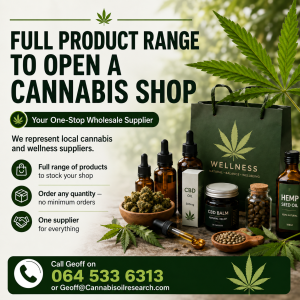 Open a cannabis shop